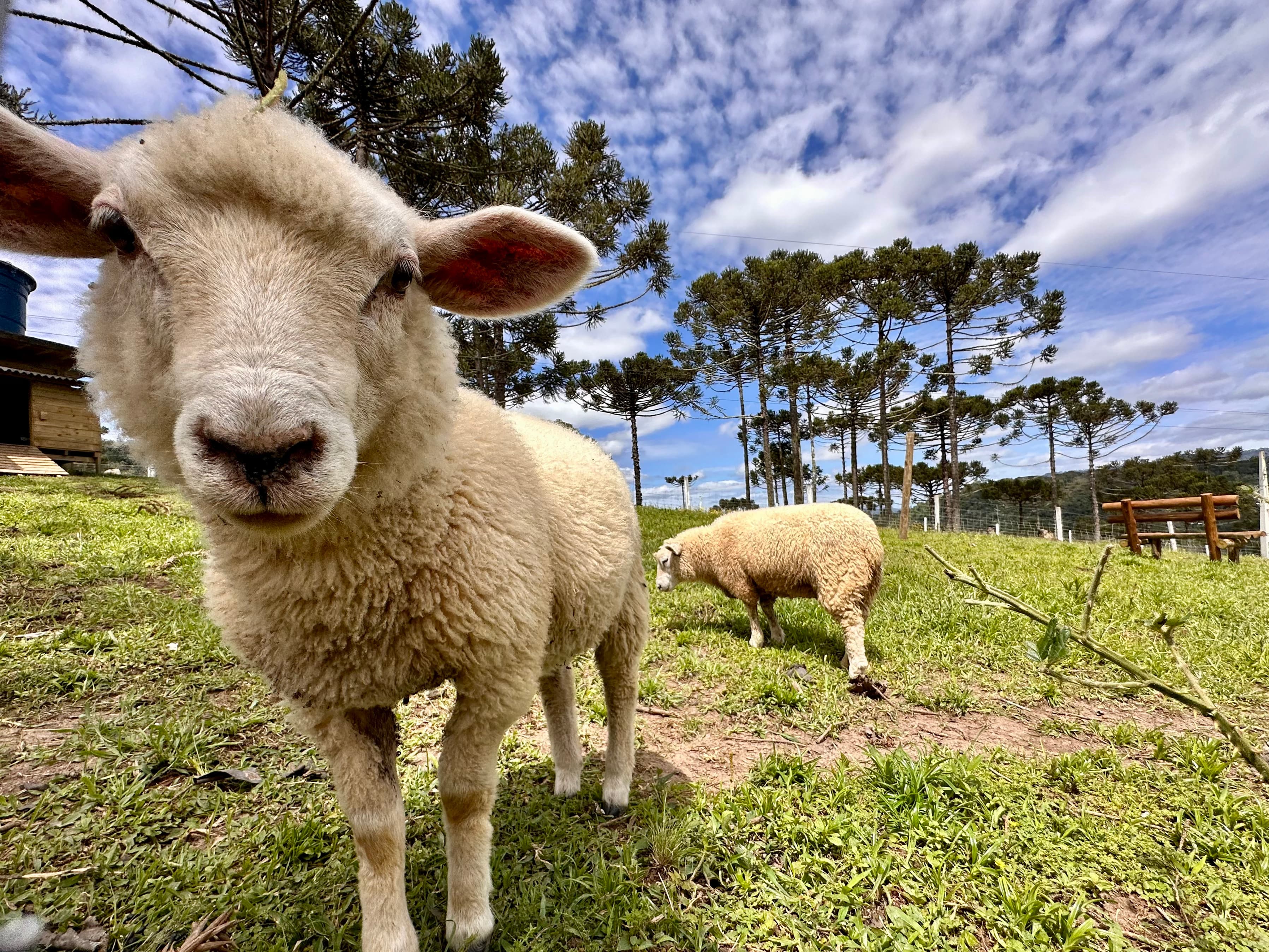 Namaste Hospedaria de Altitude miniatura 3