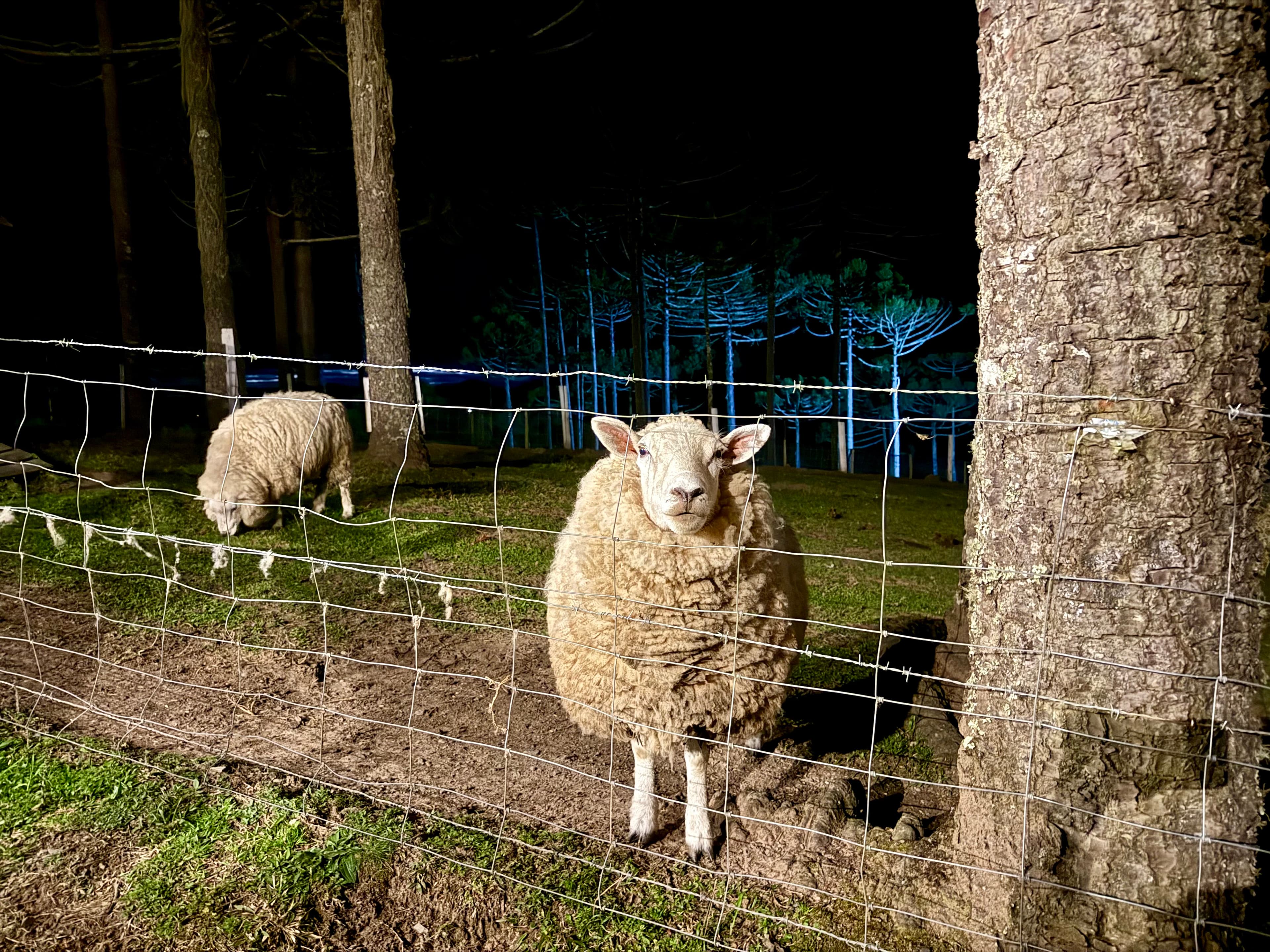 Namaste Hospedaria de Altitude miniatura 4