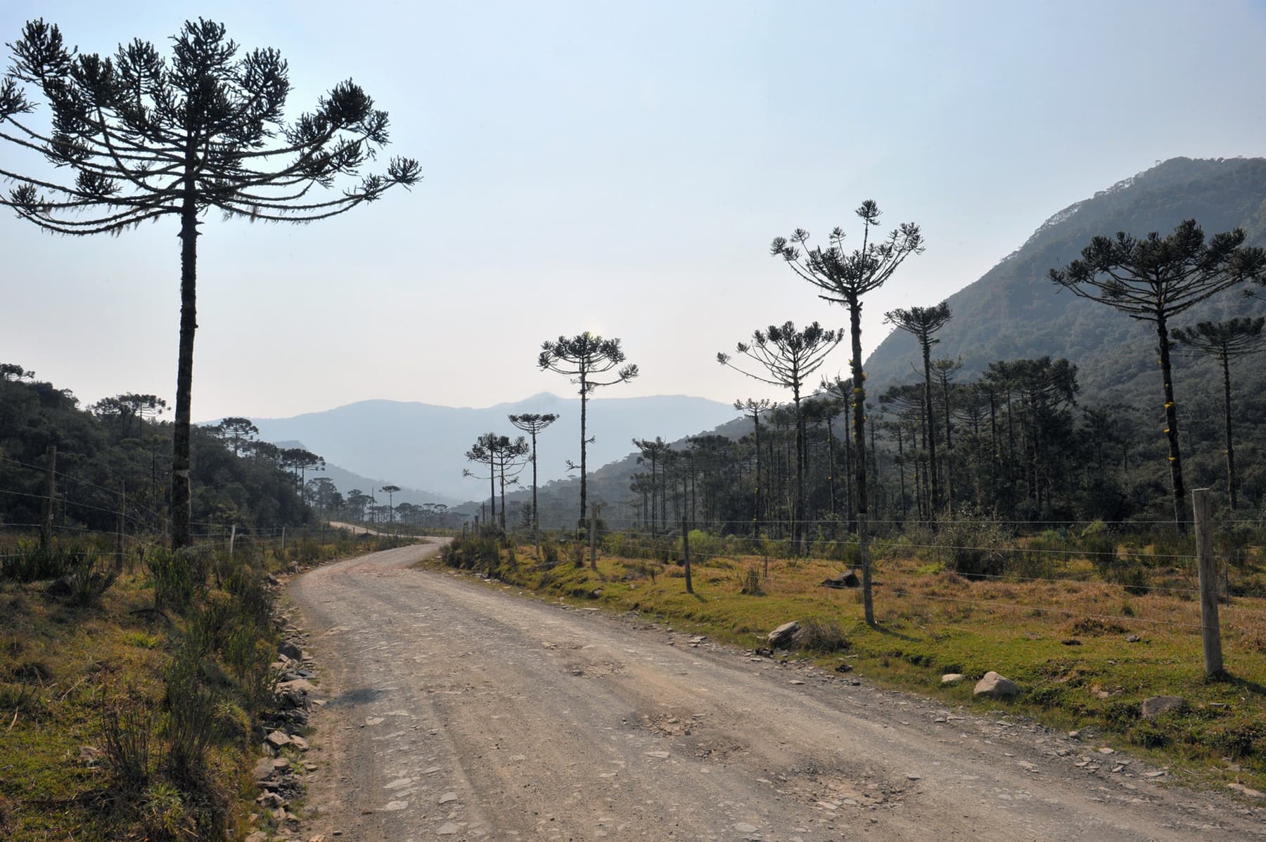 Serra do Corvo Branco